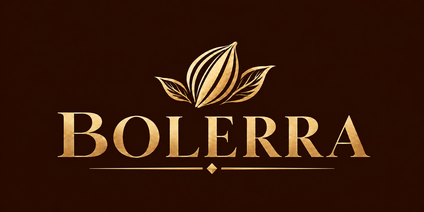 Bolerra logosu